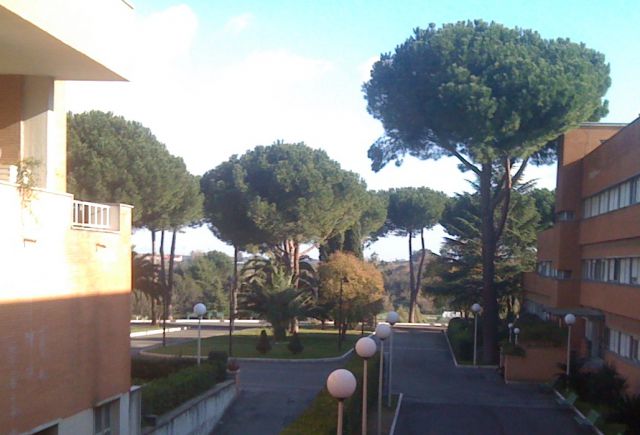 rome2